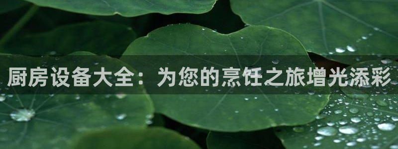 凯时k66登录