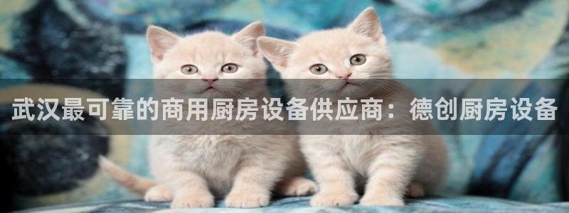 尊龙新版人生就是博!：武汉最可靠的商用厨房设备供应商：德创厨