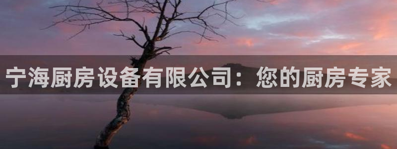 尊龙凯时干什么的：宁海厨房设备有限公司：您的厨房专家