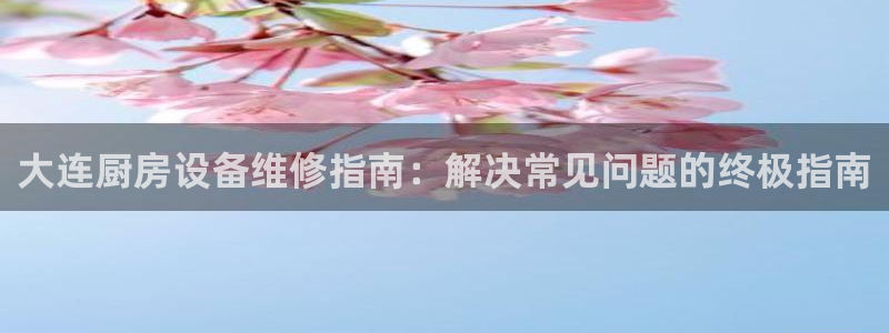 尊龙凯时旗舰厅官网：大连厨房设备维修指南：解决常见问题的终极