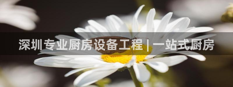 尊龙凯时有限公司：深圳专业厨房设备工程 | 一站式厨房