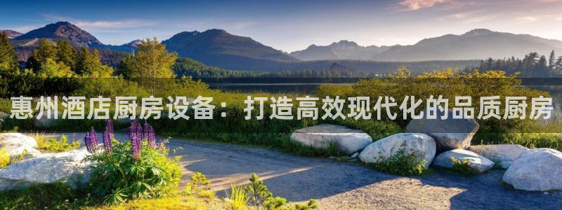 尊龙凯时平台入口：惠州酒店厨房设备：打造高效现代化的品质厨房