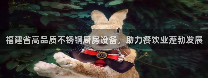 尊龙手机端下载：福建省高品质不锈钢厨房设备，助力餐饮业蓬勃发