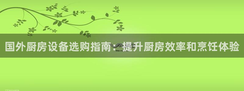 尊龙目前照片：国外厨房设备选购指南：提升厨房效率和烹饪体验