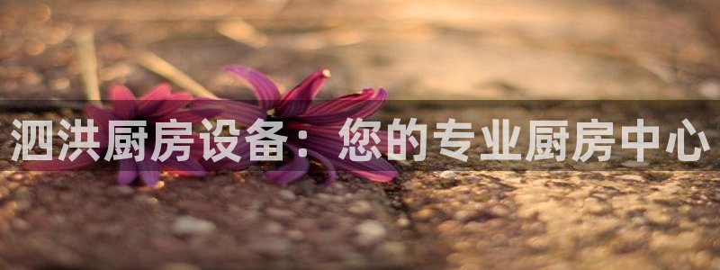 Z6尊龙官网入口