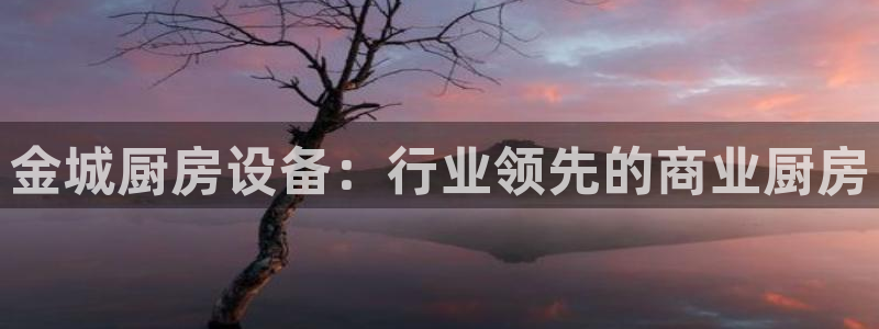 z6尊龙平台是哪里的：金城厨房设备：行业领先的商业厨房