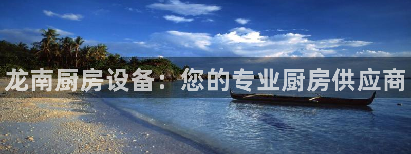尊龙d88现金旧版本：龙南厨房设备：您的专业厨房供应商
