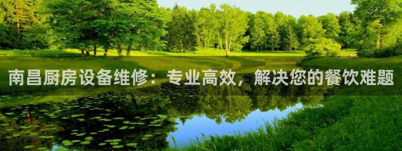 ag尊龙官方网站app：南昌厨房设备维修：专业高效，解决您的