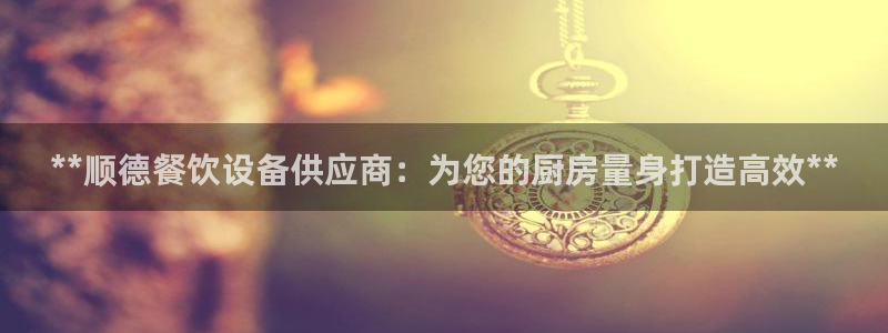 尊龙手机官方客户端下载安装：**顺德餐饮设备供应商：为您的厨