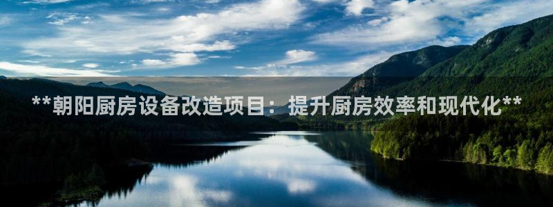 尊龙凯时捕鱼游戏能玩吗：**朝阳厨房设备改造项目：提升厨房效