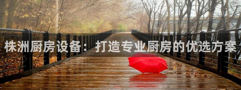 尊龙凯时登陆网址：株洲厨房设备：打造专业厨房的优选方案