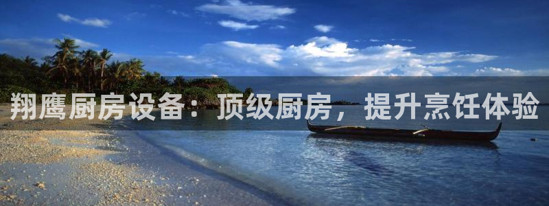 尊龙凯时登录：翔鹰厨房设备：顶级厨房，提升烹饪体验