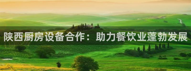 尊龙贴吧：陕西厨房设备合作：助力餐饮业蓬勃发展