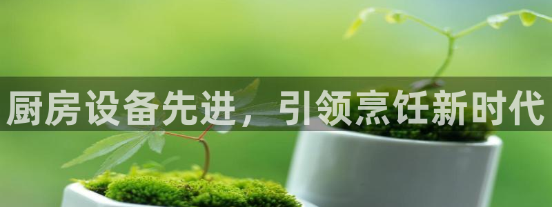 凯时国际娱乐官方网址：厨房设备先进，引领烹饪新时代