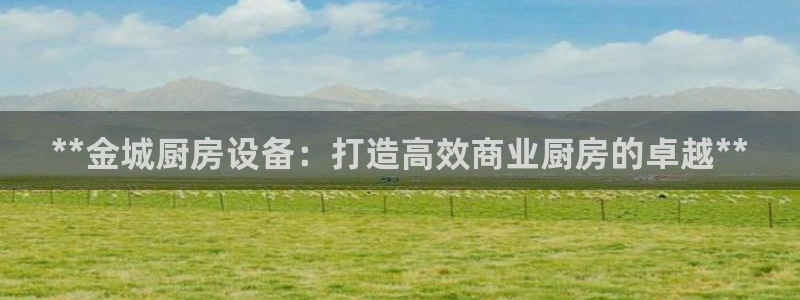 尊龙凯时下载官方正版：**金城厨房设备：打造高效商业厨房的卓