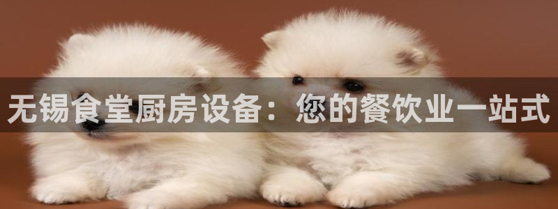 尊龙凯时账号异常审核提不了款怎么办：无锡食堂厨房设备：您的餐