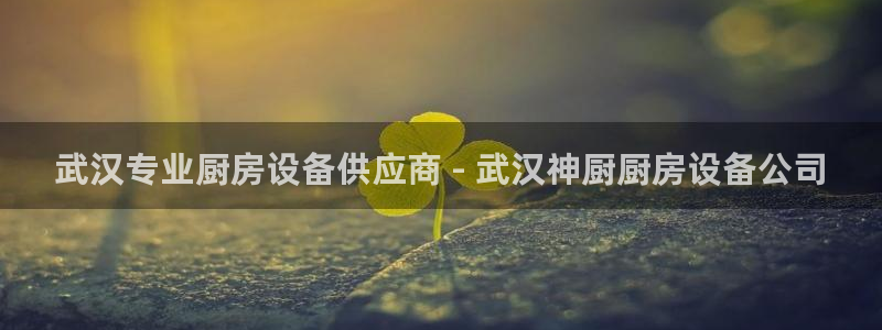 尊龙凯时正规吗：武汉专业厨房设备供应商 - 武汉神厨厨房设备