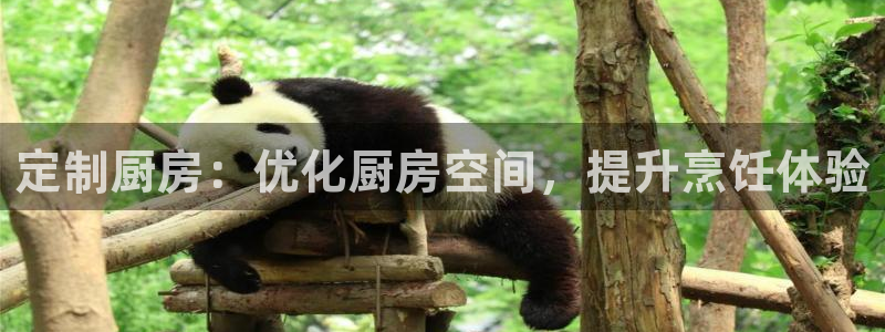 d88尊龙凯时：定制厨房：优化厨房空间，提升烹饪体验