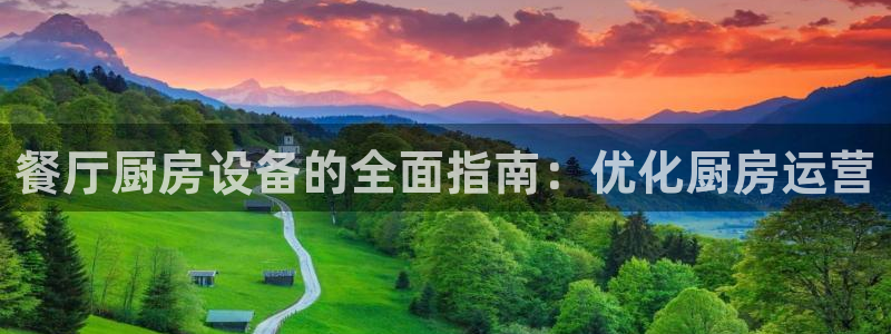 尊龙凯时平台官网：餐厅厨房设备的全面指南：优化厨房运营