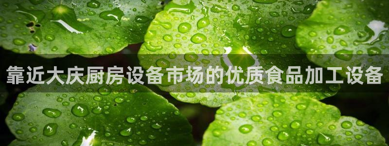 尊龙平台登录：靠近大庆厨房设备市场的优质食品加工设备