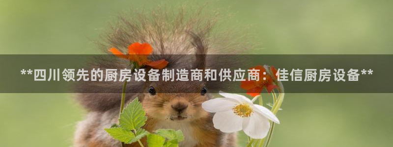尊龙d88官网QU来就送38：**四川领先的厨房设备制造商和
