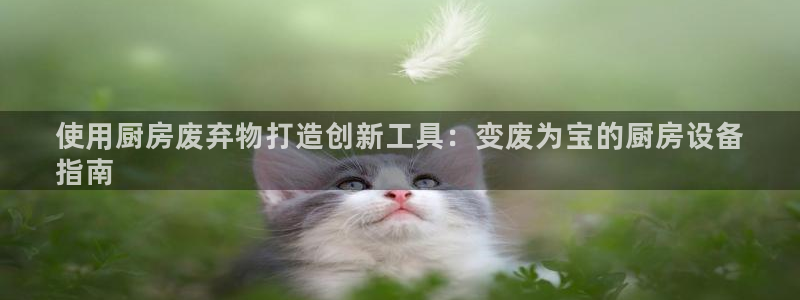 z6尊龙凯时旗舰厅：使用厨房废弃物打造创新工具：变废为宝的厨