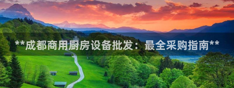 尊龙官网免费下载安装：**成都商用厨房设备批发：最全采购指南