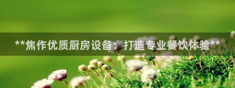 尊龙凯时输钱的原因：**焦作优质厨房设备：打造专业餐饮体验*