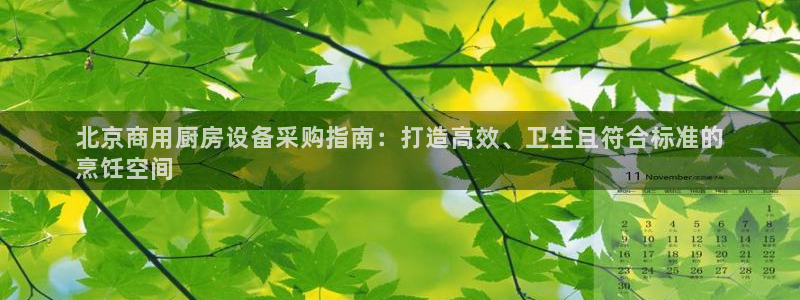 尊龙人生就是博ag：北京商用厨房设备采购指南：打造高效、卫生