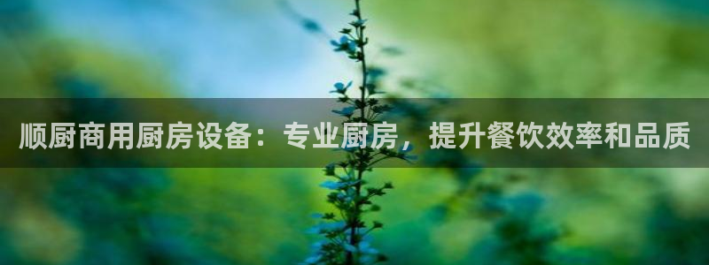 尊龙AG旗舰厅APP：顺厨商用厨房设备：专业厨房，提升餐饮效