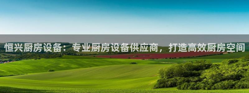 尊龙 6：恒兴厨房设备：专业厨房设备供应商，打造高效厨房空间