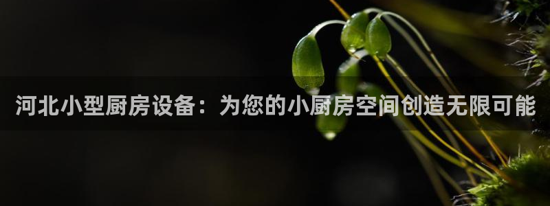 尊龙凯时干什么的：河北小型厨房设备：为您的小厨房空间创造无限