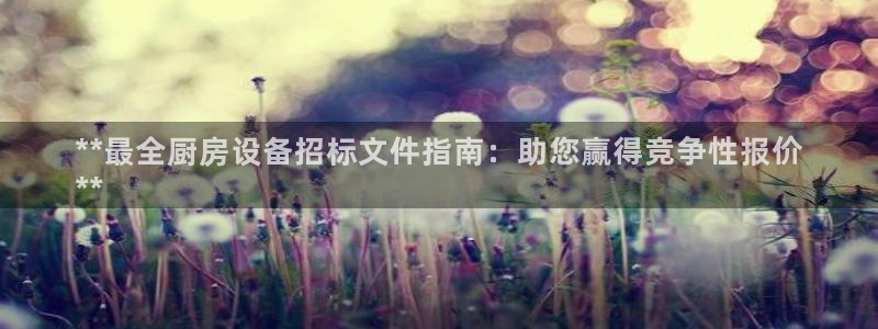 尊龙实业有限公司：**最全厨房设备招标文件指南：助您赢得竞争