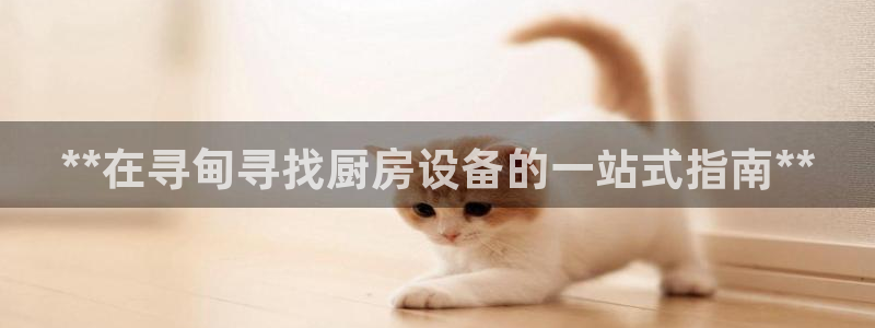 尊龙凯时赞助：**在寻甸寻找厨房设备的一站式指南**