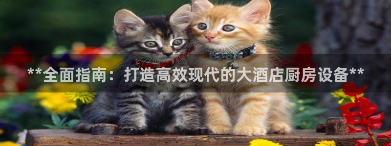 尊龙凯时的最新消息：**全面指南：打造高效现代的大酒店厨房设