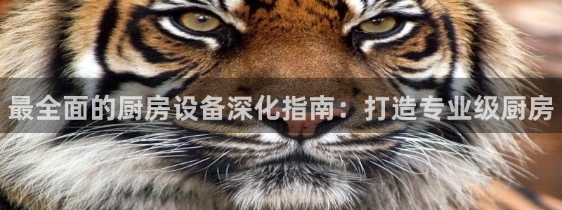 AG尊龙登陆网址：最全面的厨房设备深化指南：打造专业级厨房