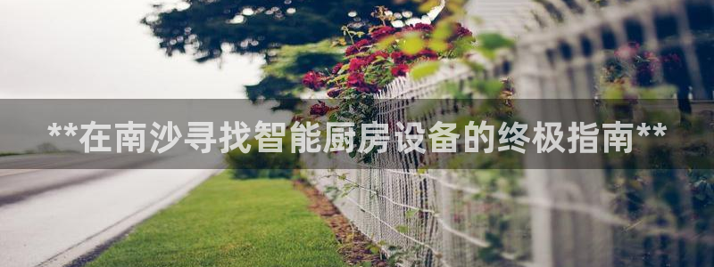 凯时国际平台有人赢吗：**在南沙寻找智能厨房设备的终极指南*
