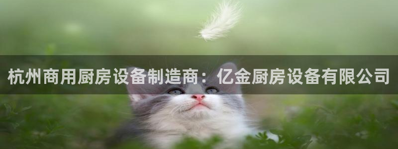 尊龙人生就是博旧版：杭州商用厨房设备制造商：亿金厨房设备有限