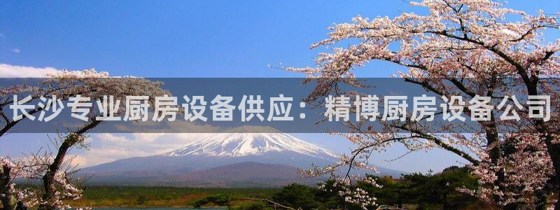 凯时k66娱乐登录：长沙专业厨房设备供应：精博厨房设备公司