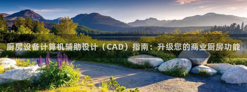 尊龙,人生就是博!登录国际：厨房设备计算机辅助设计（CAD）