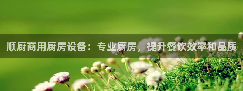 尊龙会：顺厨商用厨房设备：专业厨房，提升餐饮效率和品质