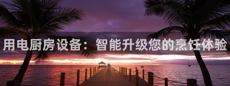 尊龙游戏官网：用电厨房设备：智能升级您的烹饪体验
