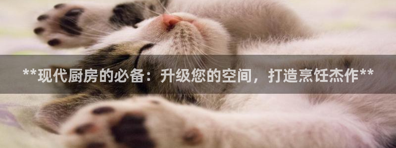 尊龙游戏app官方网站：