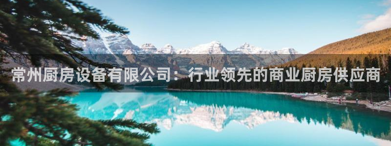下载尊龙：常州厨房设备有限公司：行业领先的商业厨房供应商