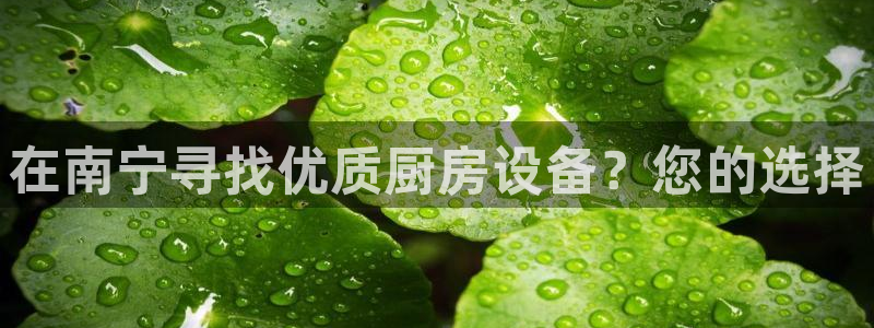 凯时k66官方发布