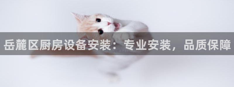 尊龙信息科技有限公司：岳麓区厨房设备安装：专业安装，品质保障