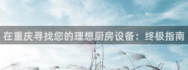 尊龙会：在重庆寻找您的理想厨房设备：终极指南