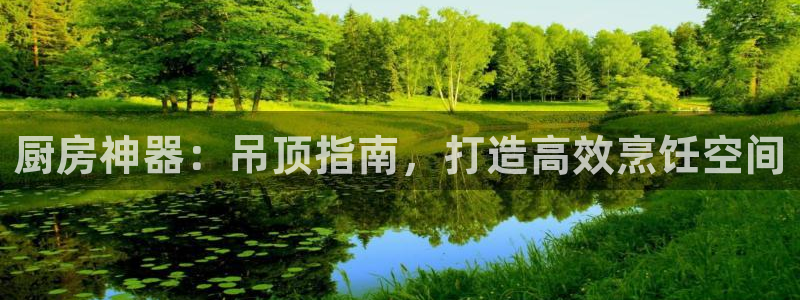 尊龙 5：厨房神器：吊顶指南，打造高效烹饪空间