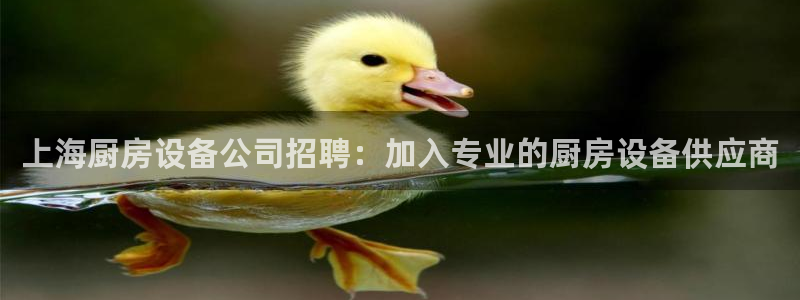 凯时ag旗舰厅登录：上海厨房设备公司招聘：加入专业的厨房设备