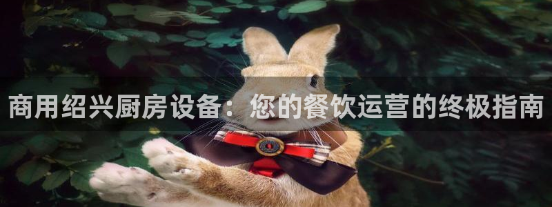 尊龙现金：商用绍兴厨房设备：您的餐饮运营的终极指南